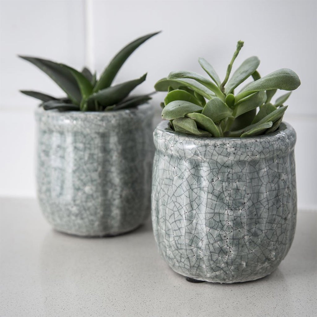 AQUA CERAMIC MINORITY POT | CRACKLE GLAZE | GARDEN TRADING