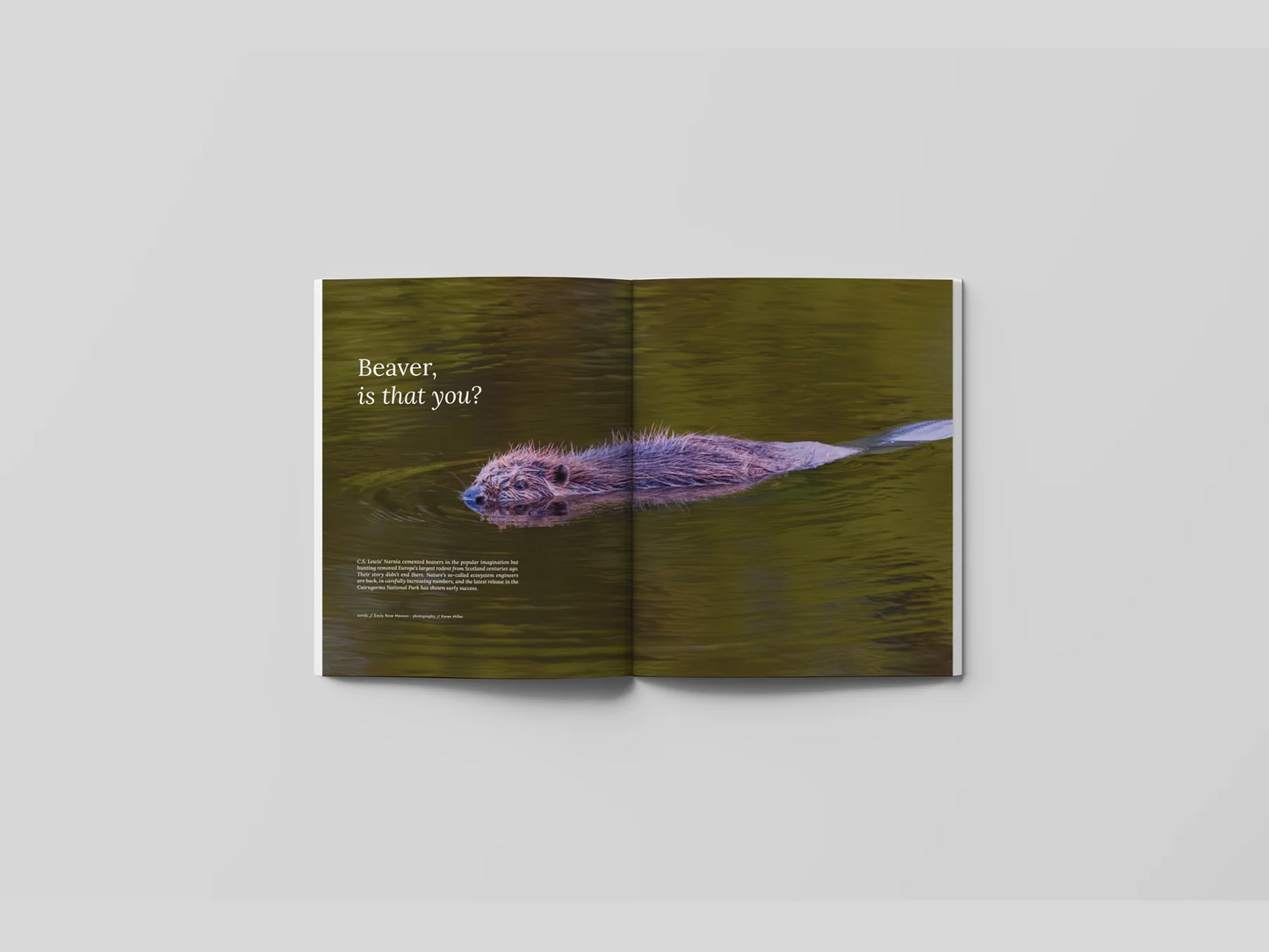 HIDDEN SCOTLAND MAGAZINE | ISSUE 08