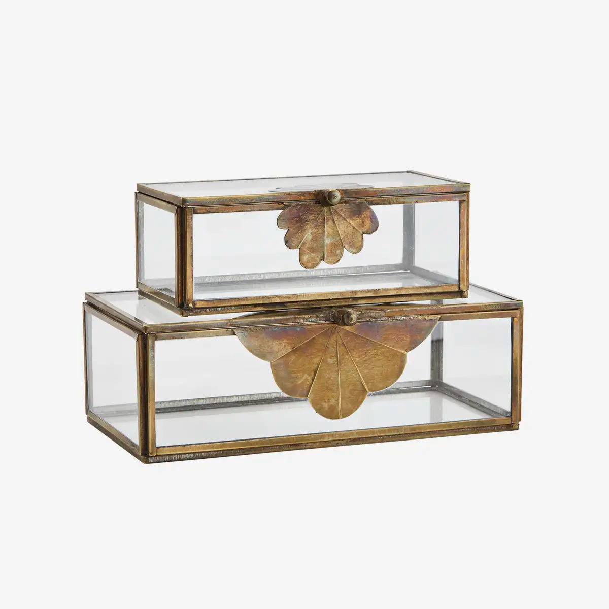GLASS BOX WITH BRASS LEAF MOTIF | TWO SIZES | MADAM STOLTZ