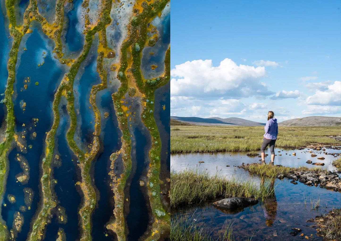 Cozy Publishing - Food In The Woods, Vegetarian recipes, snacks & hiking meals