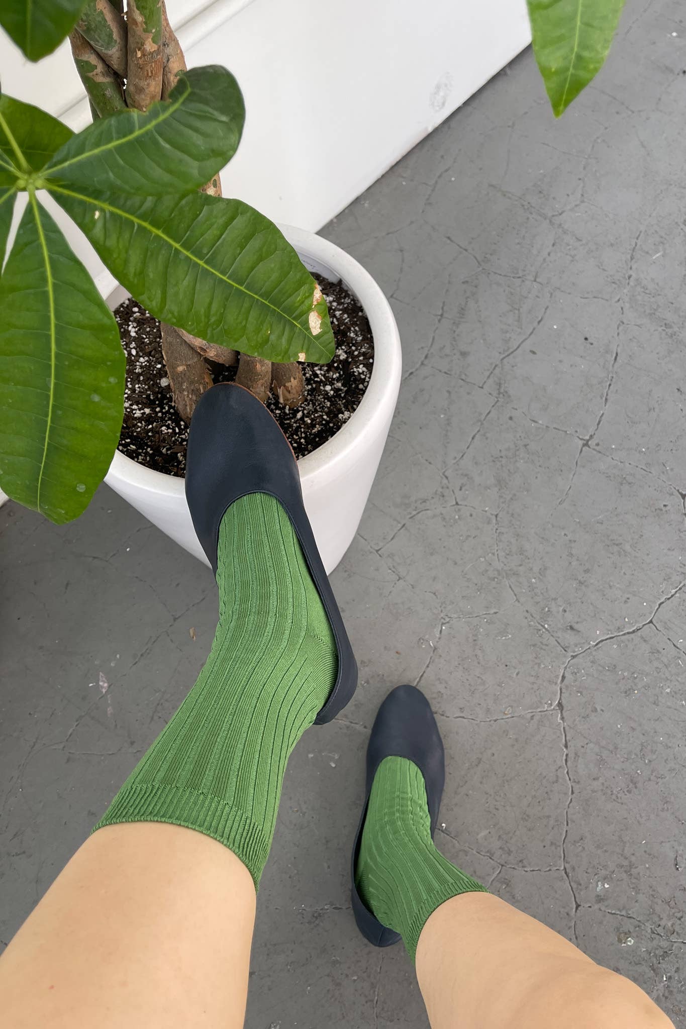 HER SOCKS | VARIOUS COLOURS | MERCERIZED COMBED COTTON RIB | LE BON SHOPPE
