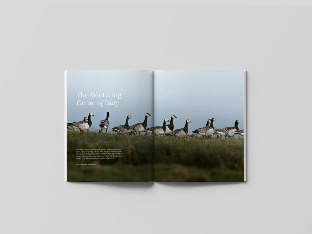 HIDDEN SCOTLAND MAGAZINE | ISSUE 07