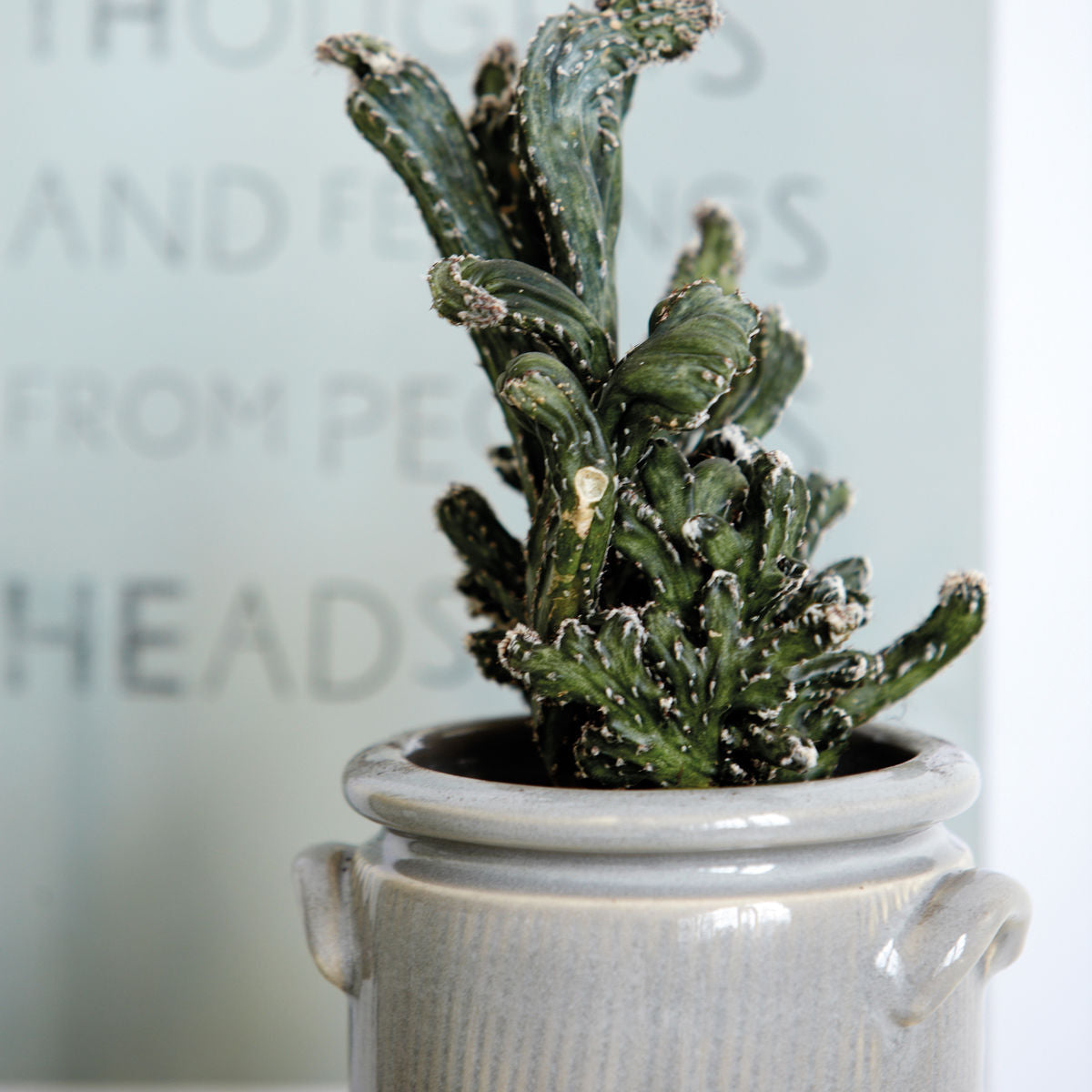 PLANTER | GREY | HOUSE DOCTOR | X LARGE