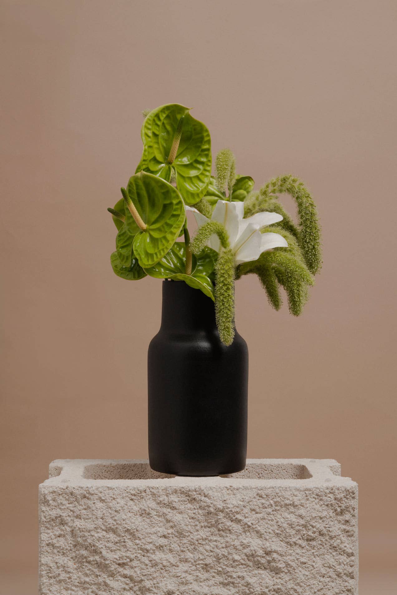 o cactuu - Blanc 01 - Black Vase