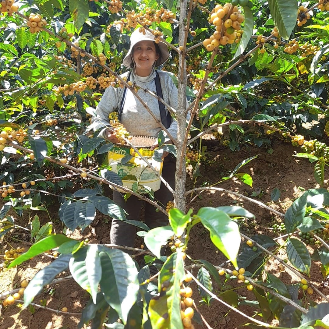 Williams and Johnson coffee beans bag 250g