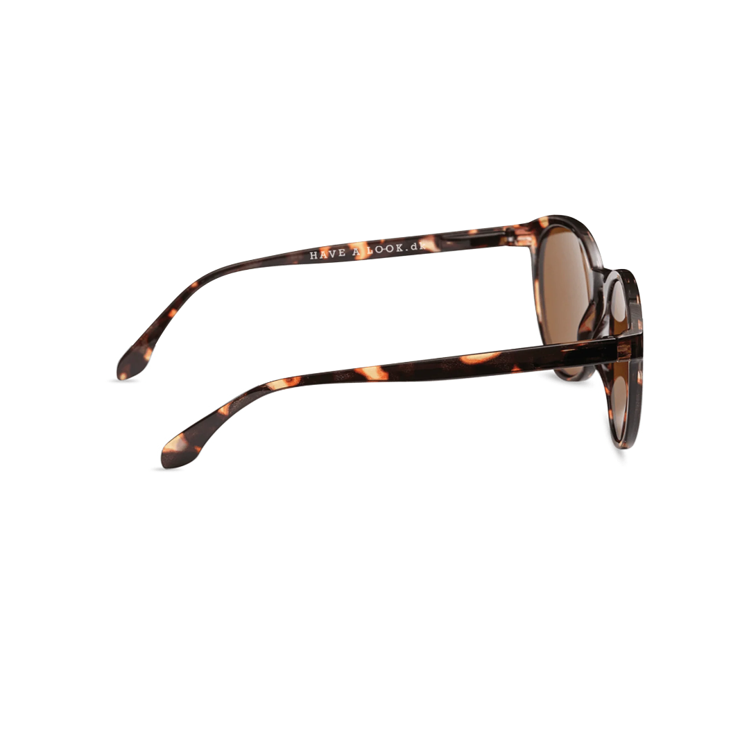 HAVE A LOOK SUNGLASSES | DIVA | TORTOISE
