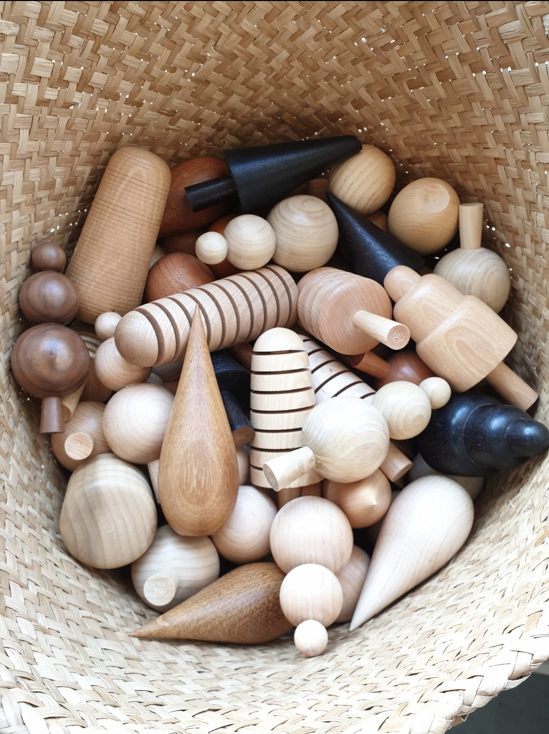 FORGE CREATIVE TREES | LUCKY DIP | VARIOUS WOOD