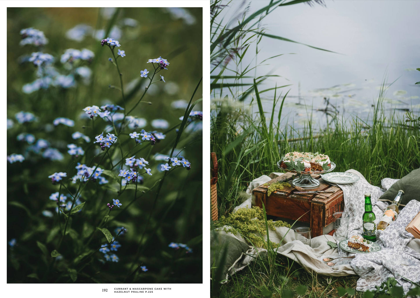 Cozy Publishing - Nordic Summer Cookbook