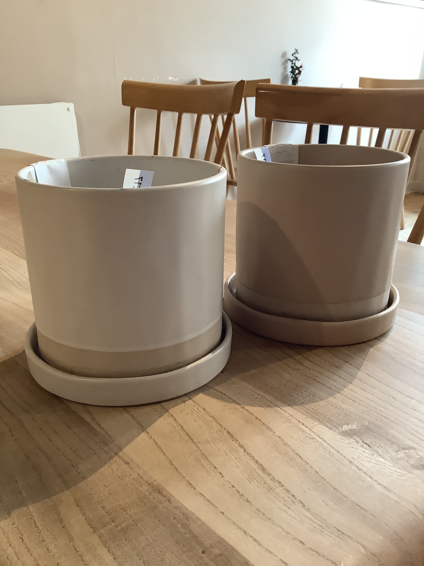 Planter with tray