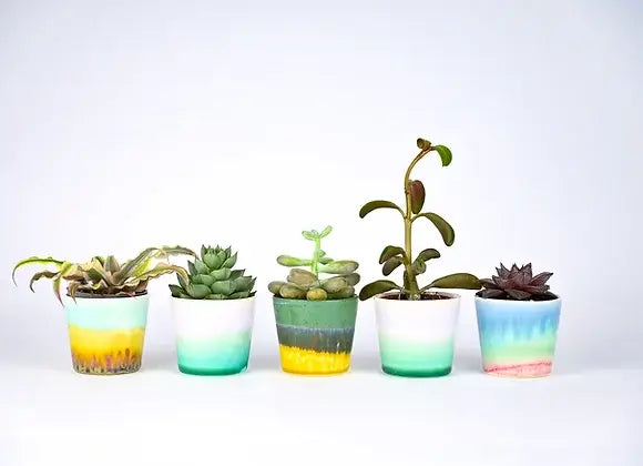 SGW LAB - SGW Lab Plant Pot BT033