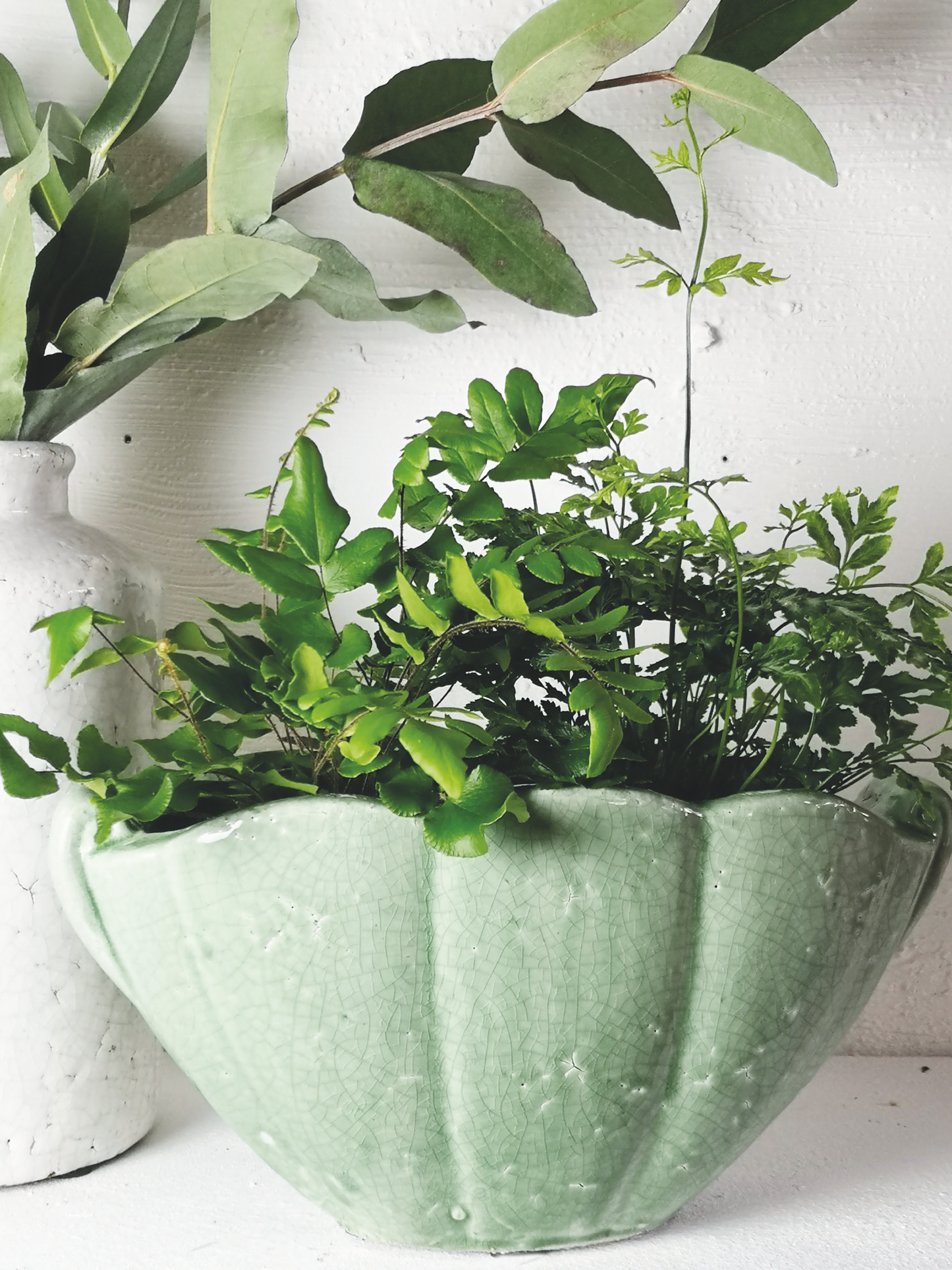 CASA VERDE SHELL PLANTER | VERDE