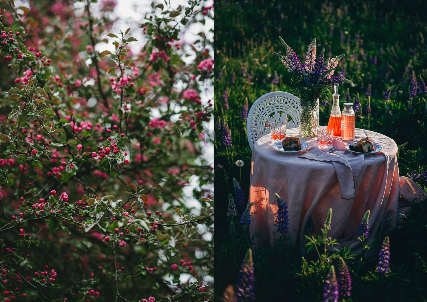 Cozy Publishing - Nordic Summer Cookbook