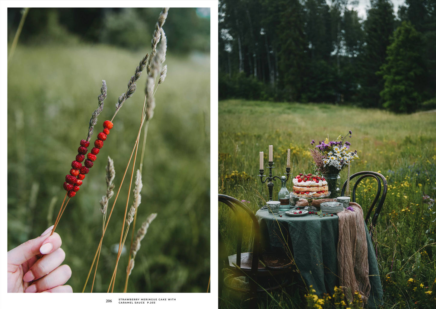 Cozy Publishing - Nordic Summer Cookbook