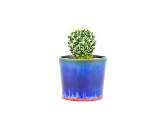 SGW LAB - SGW Lab Plant Pot BT031