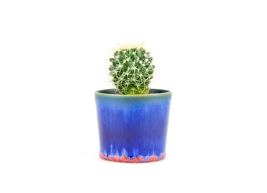 SGW LAB - SGW Lab Plant Pot BT031