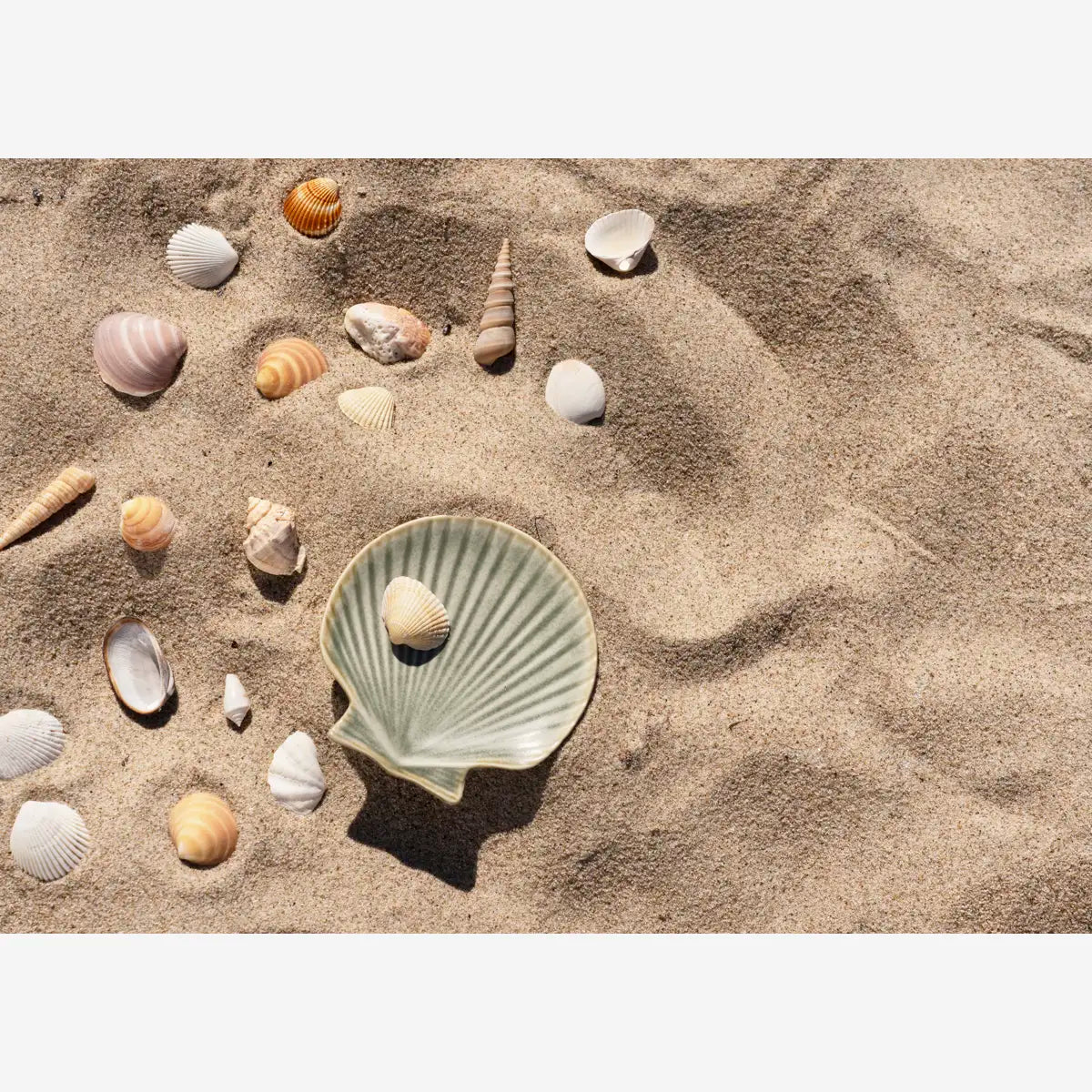 STONEWARE SEA SHELL TRAY | GREEN | MADAM STOLTZ