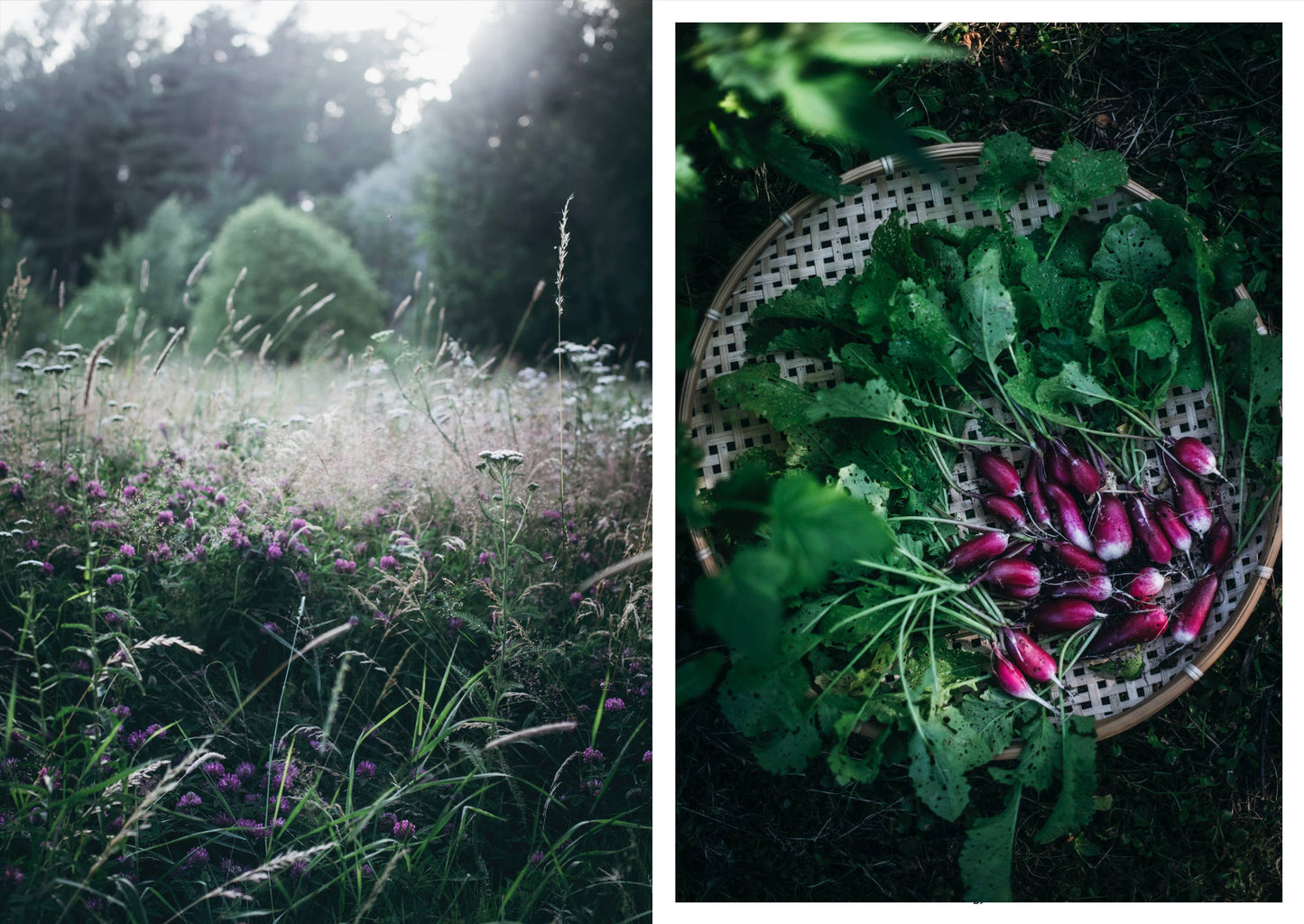 Cozy Publishing - Nordic Summer Cookbook