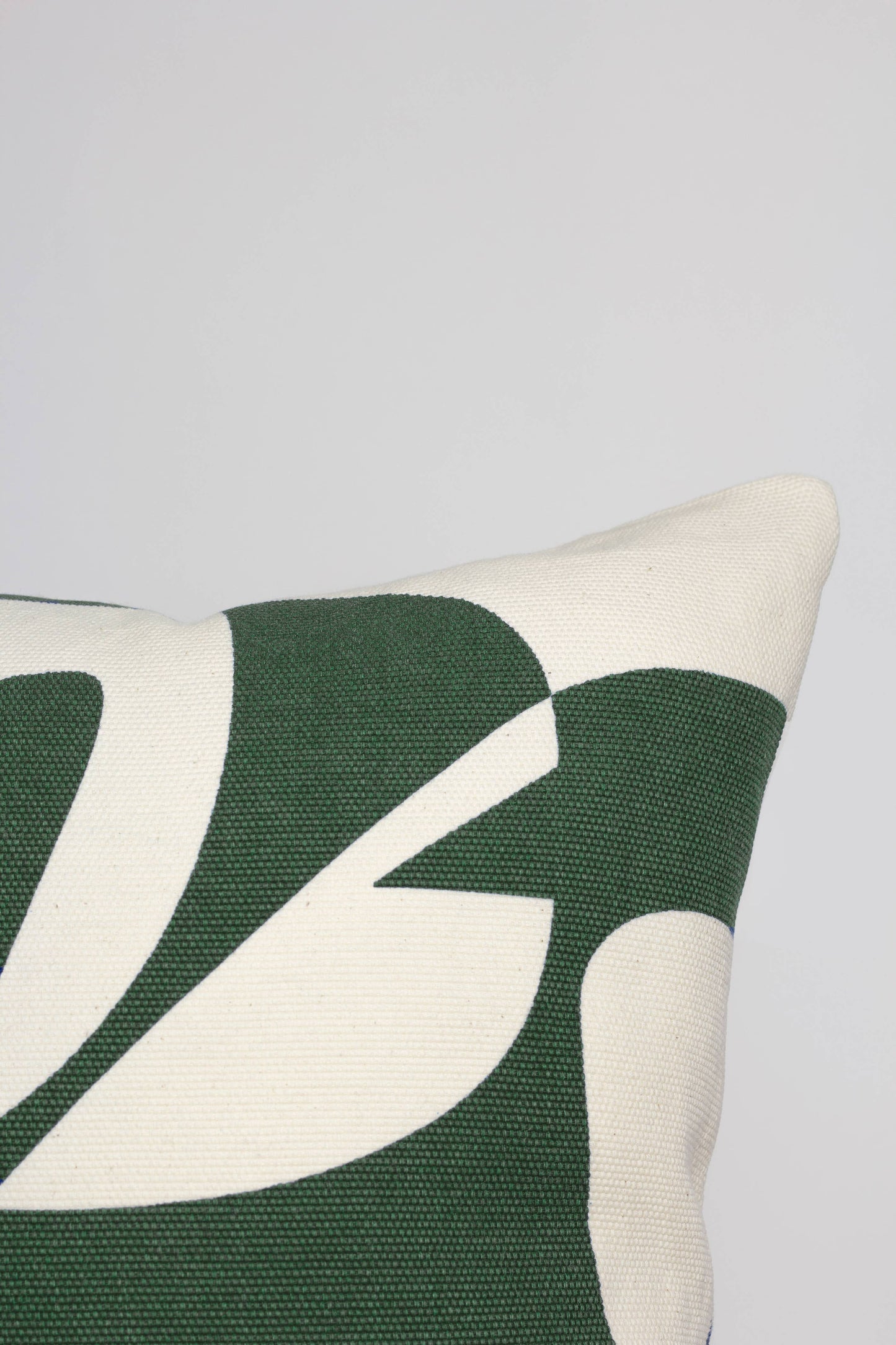 o cactuu - Printed Cushion Cover – Green - Home decor