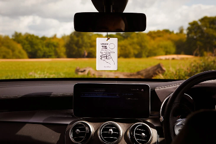 AIR FRESHENER | JARDIN DE LA LUNE  | BLACKBERRY LEAF AND BERGAMOT| BY EARL OF EAST