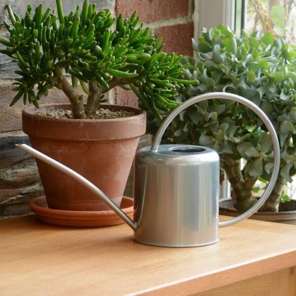 1.9L INDOOR WATERING CAN | SILVER | GARDEN TRADING