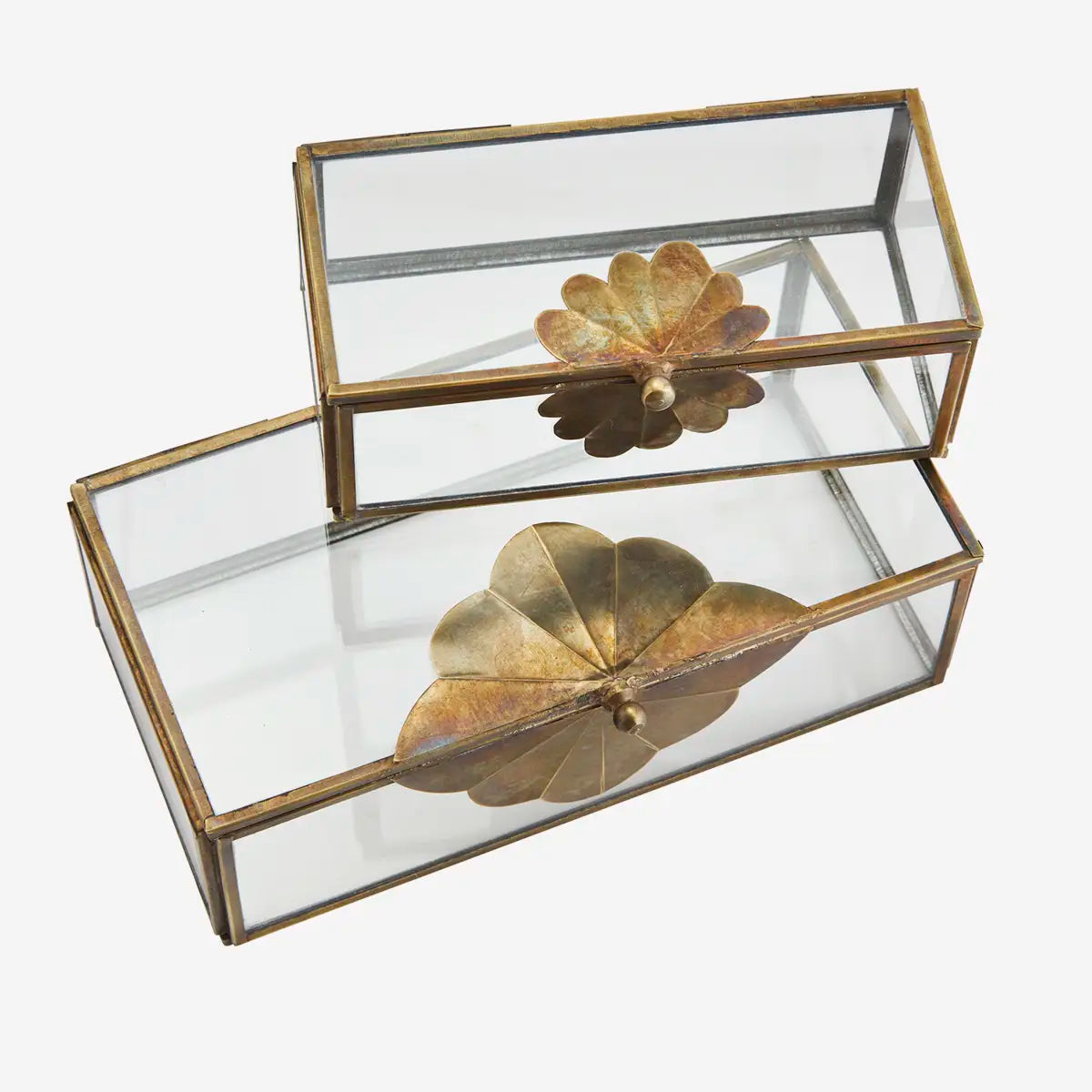 GLASS BOX WITH BRASS LEAF MOTIF | TWO SIZES | MADAM STOLTZ