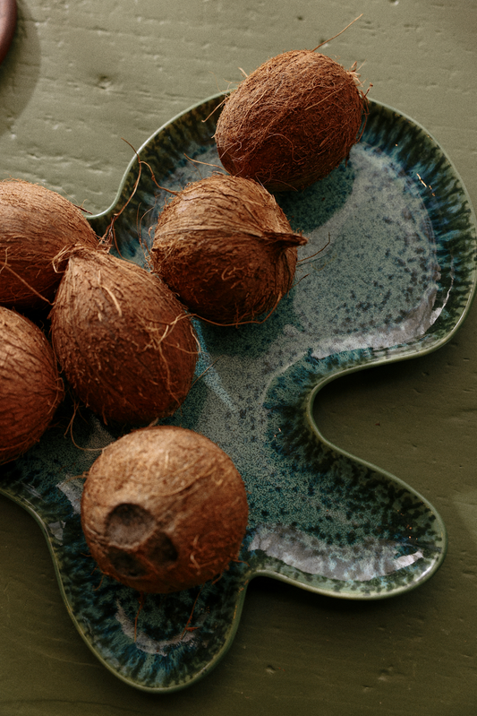 HKLIVING | SHELL PLATE | TEAL