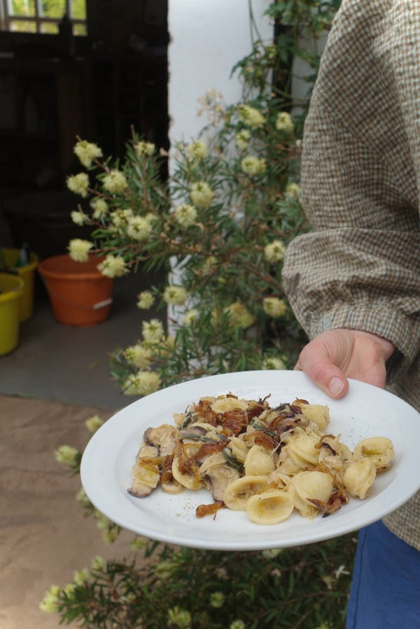 VEGETABLE RECIPES | JESS ELLIOT DENNISON