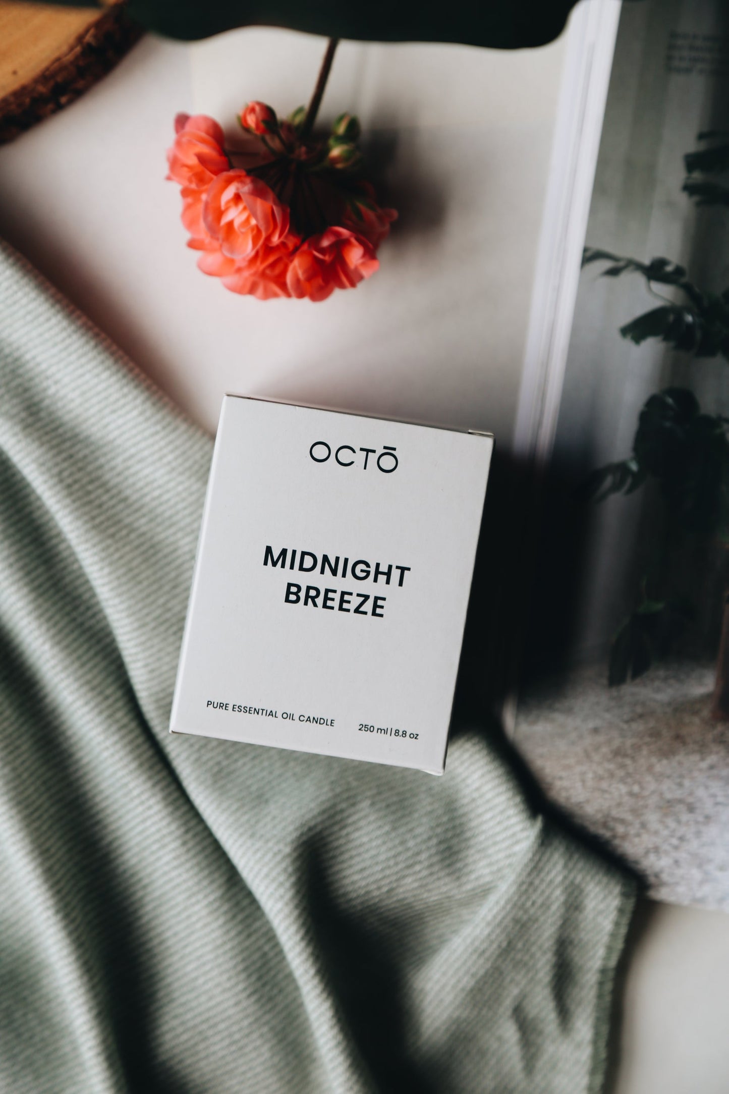 MIDNIGHT BREEZE | SOY CANDLE | OCTO