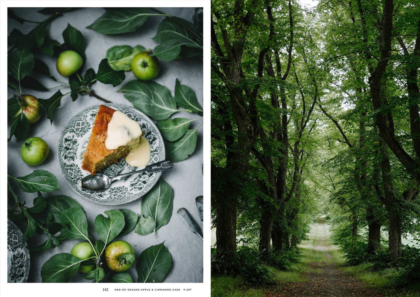 Cozy Publishing - Nordic Summer Cookbook
