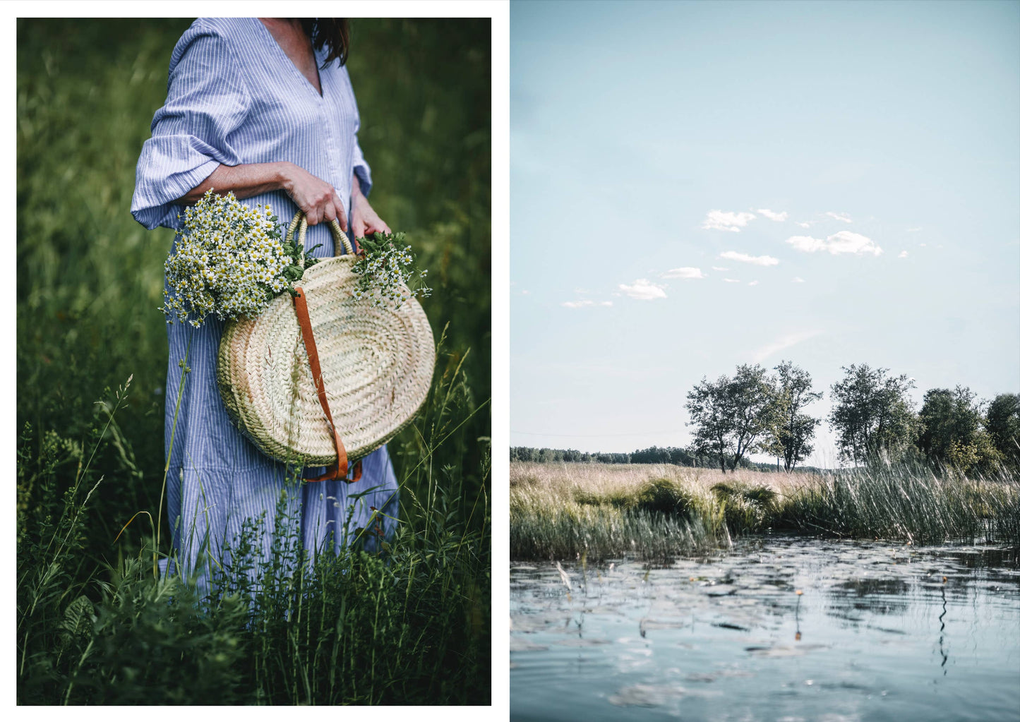 Cozy Publishing - Nordic Summer Cookbook