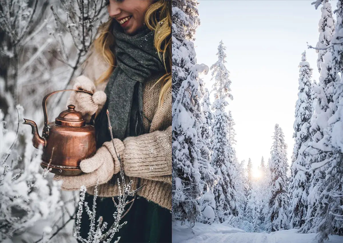 NORDIC WINTER COOK BOOK | COSY PUBLISHING
