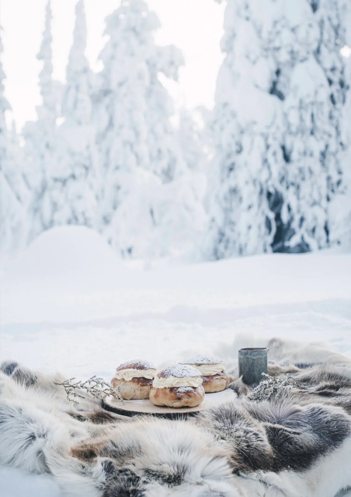 NORDIC WINTER COOK BOOK | COSY PUBLISHING