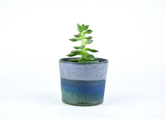 SGW LAB - SGW Lab Plant Pot GT007