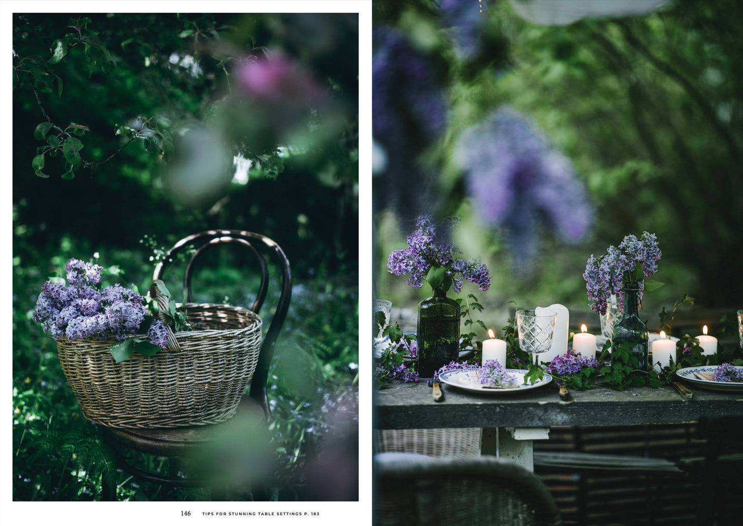 Cozy Publishing - Nordic Summer Cookbook