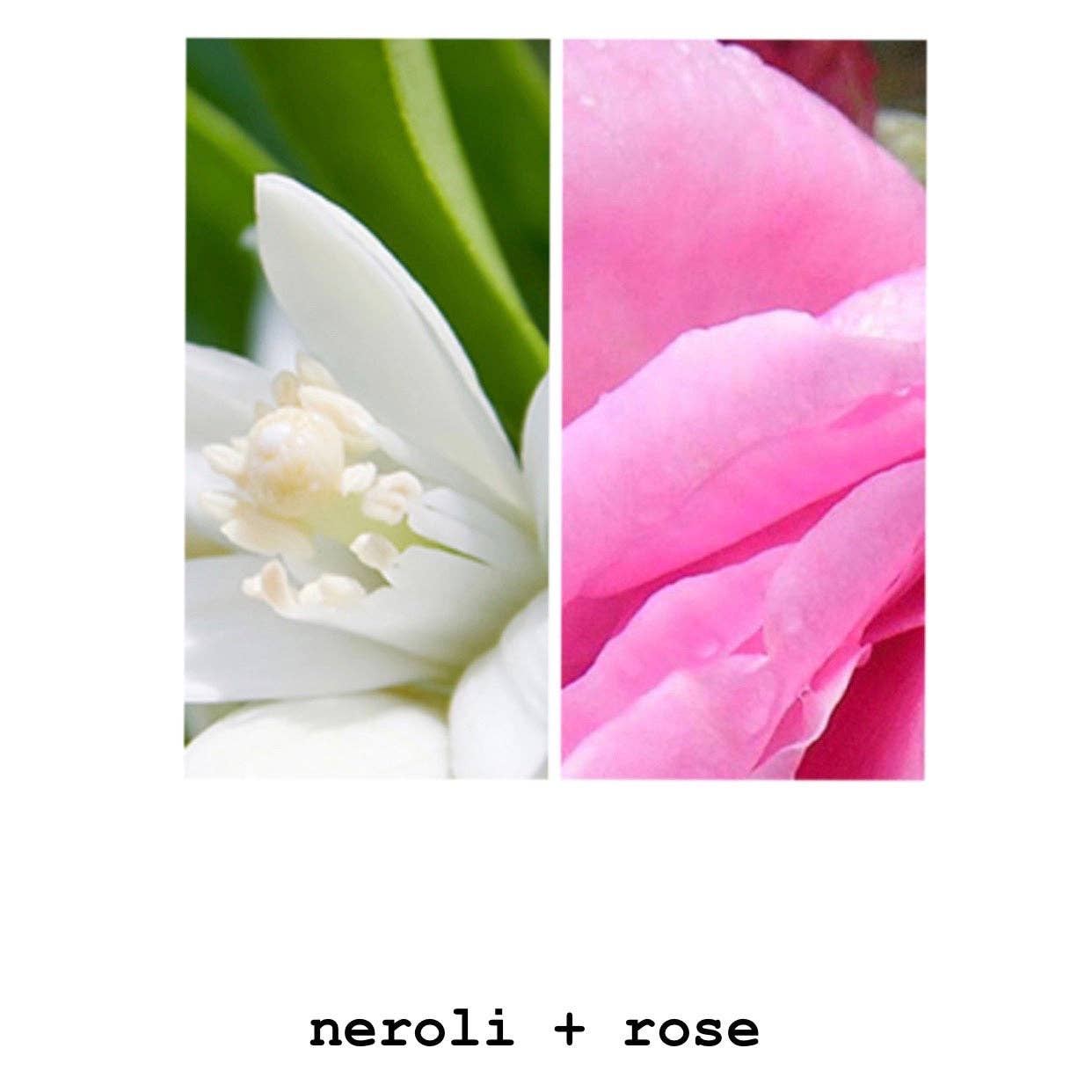 MODM - MODM Hand + Body Wash - Neroli + Rose