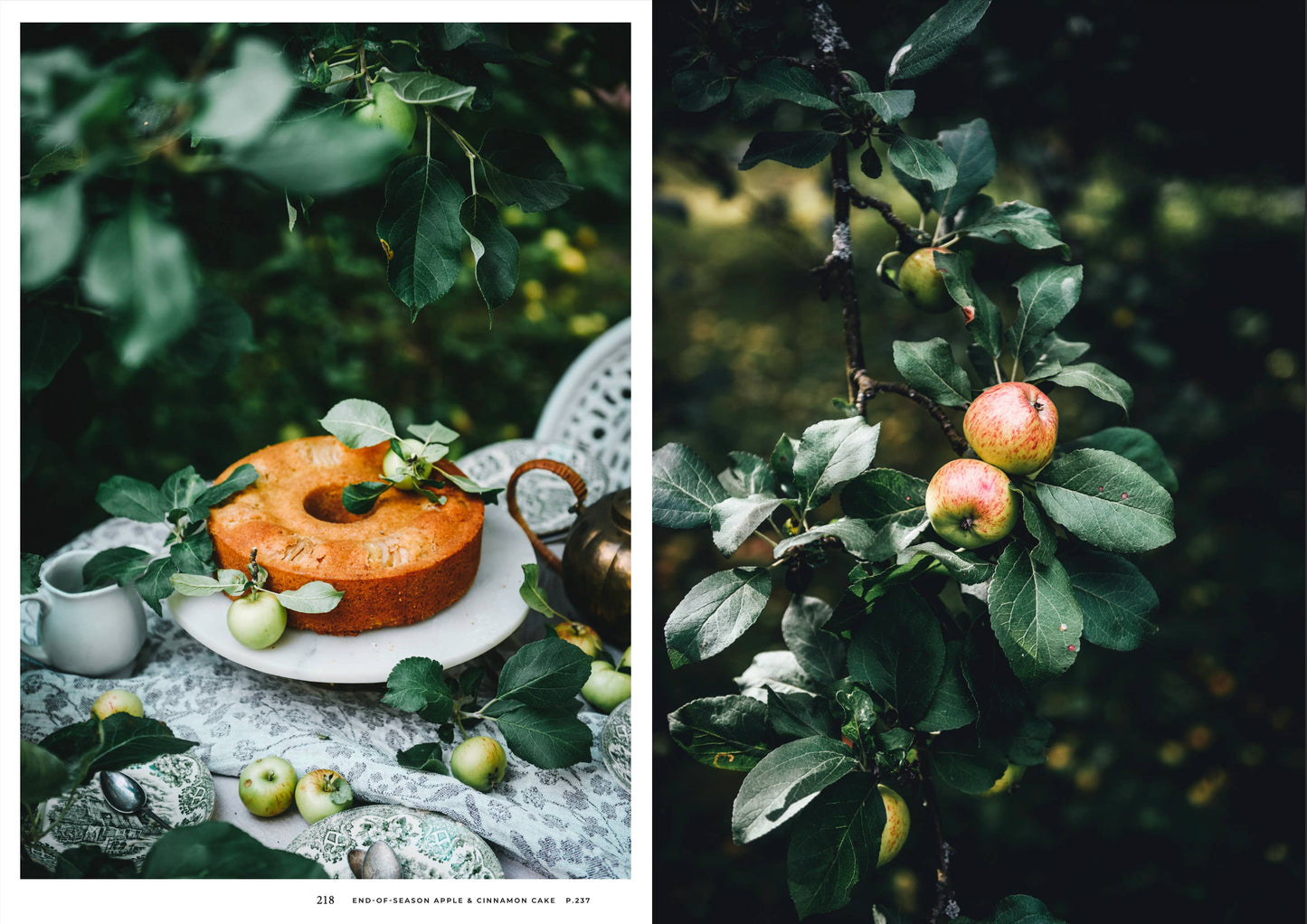 Cozy Publishing - Nordic Summer Cookbook