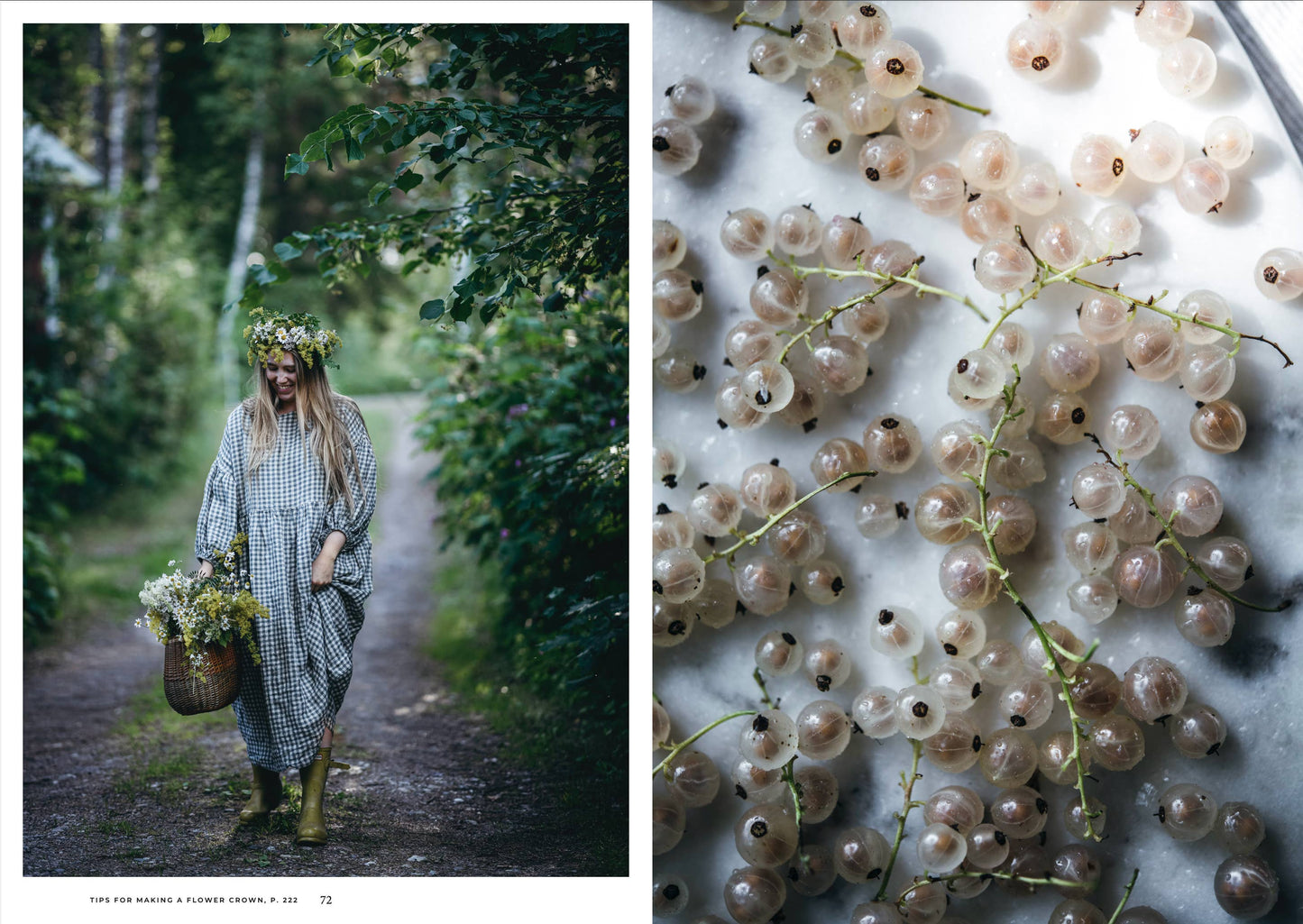 Cozy Publishing - Nordic Summer Cookbook