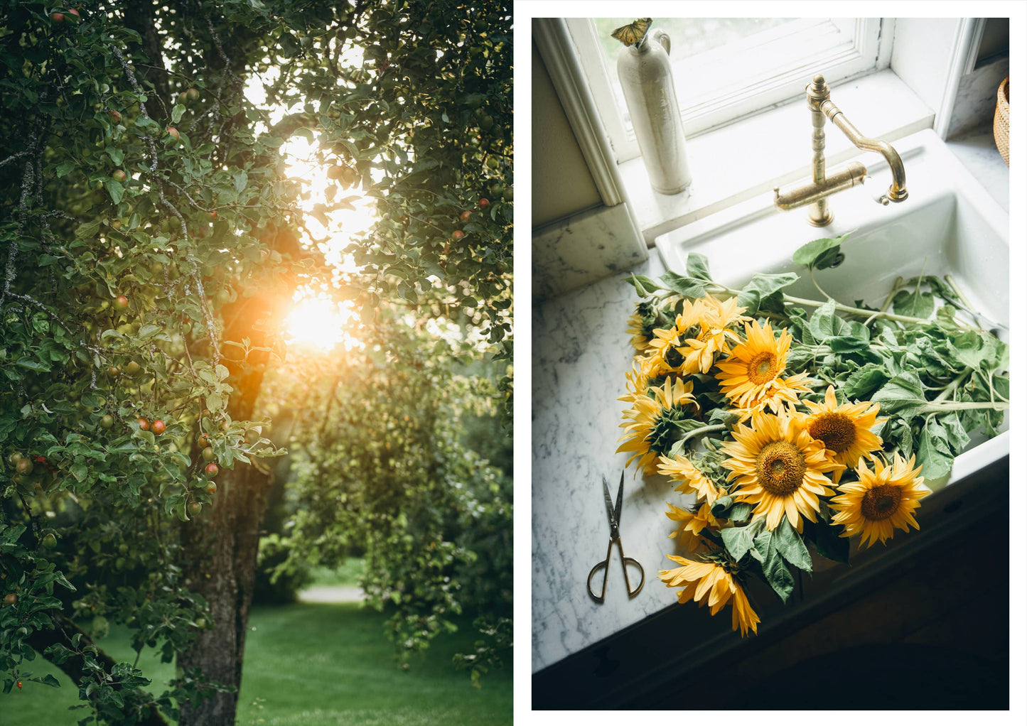 Cozy Publishing - Nordic Summer Cookbook